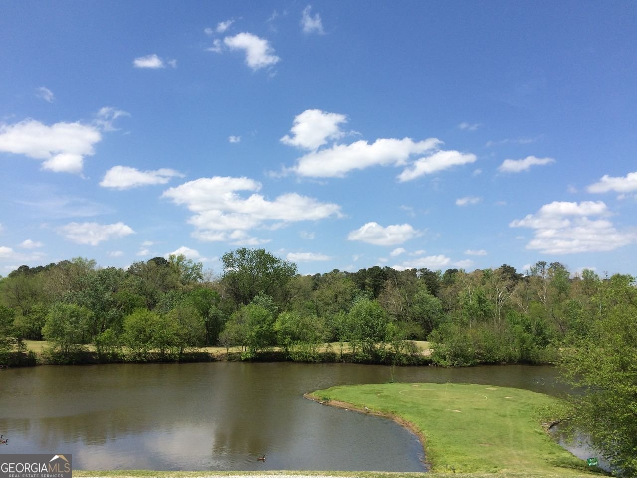 170 ELYSIAN Way Atlanta - 54