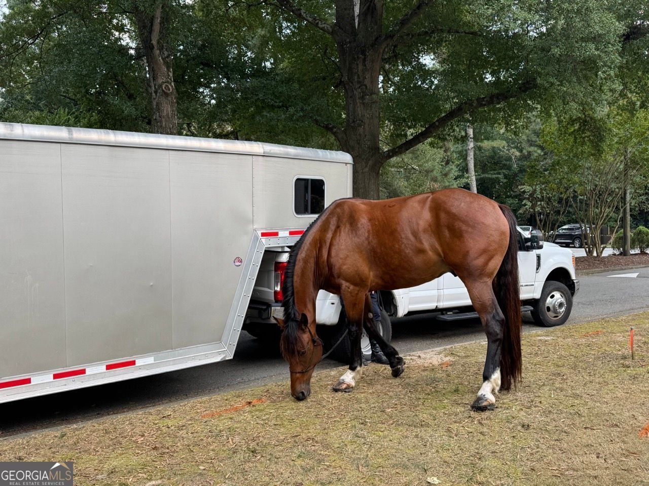 170 ELYSIAN Way Atlanta - 61