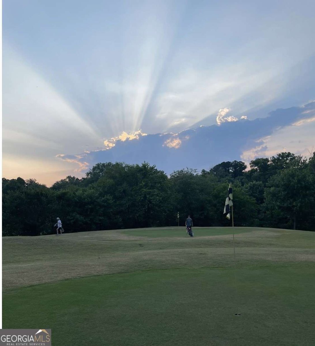 170 ELYSIAN Way Atlanta - 65