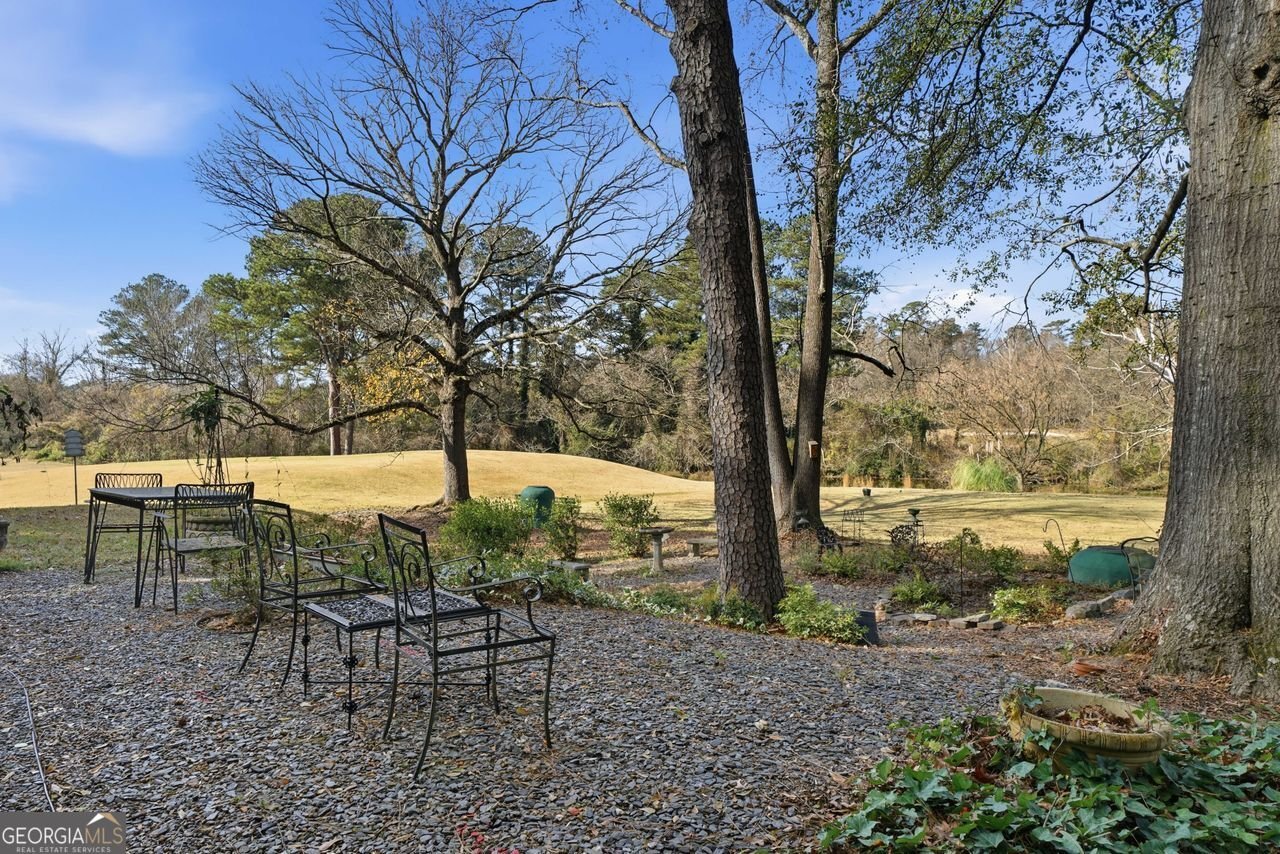 170 ELYSIAN Way Atlanta - 9