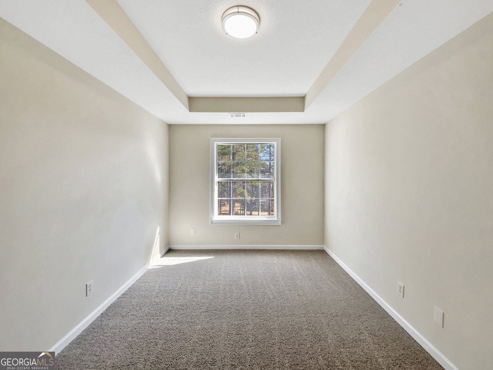 12334 Manson Glass Court Fayetteville - 19