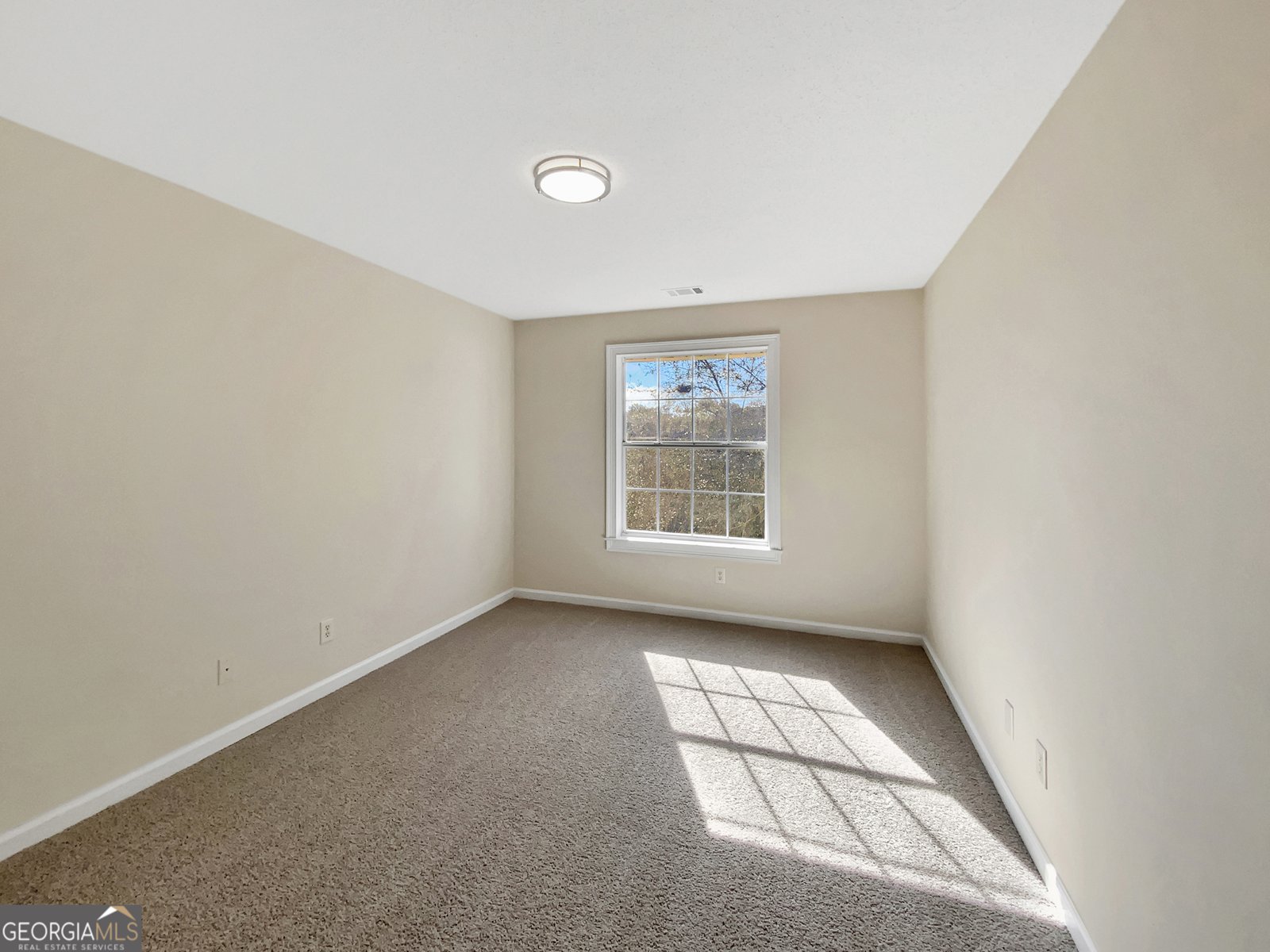 12334 Manson Glass Court Fayetteville - 20