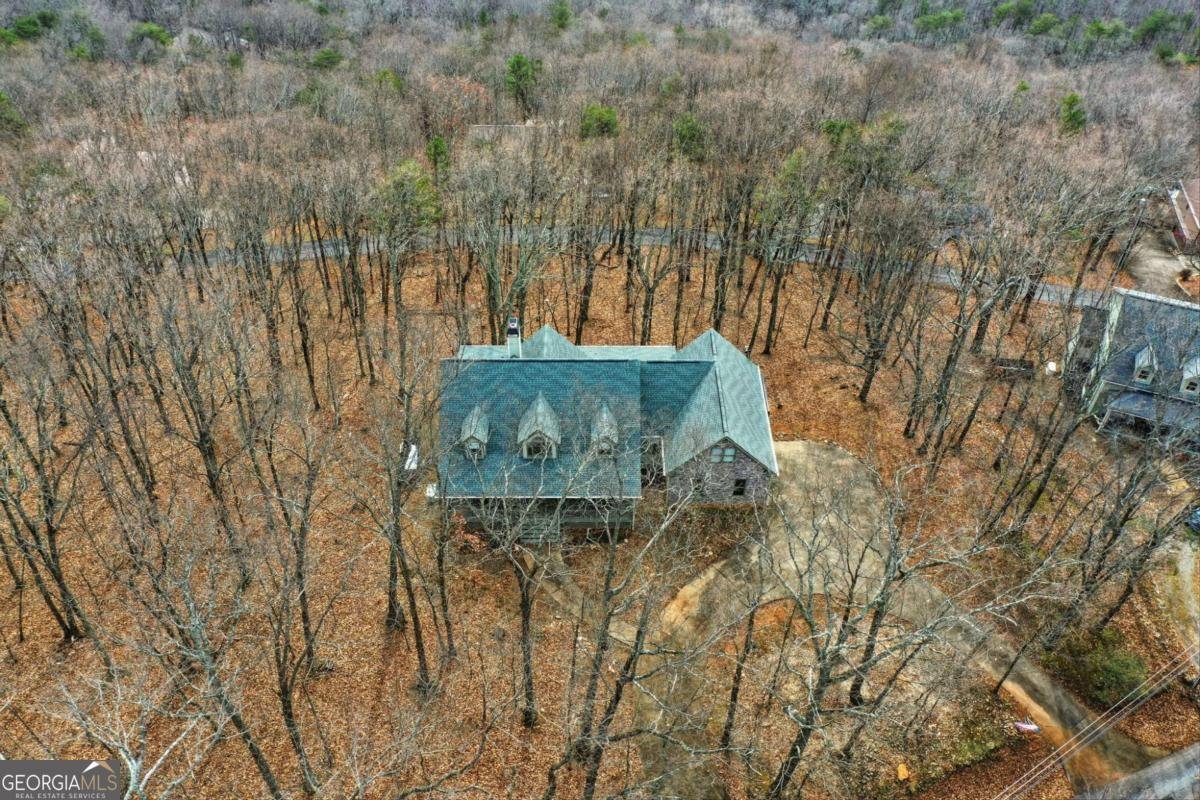 88 Bee Tree Ridge Court Jasper - 49