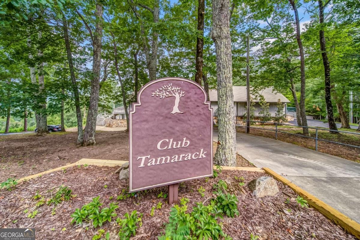 88 Bee Tree Ridge Court Jasper - 52