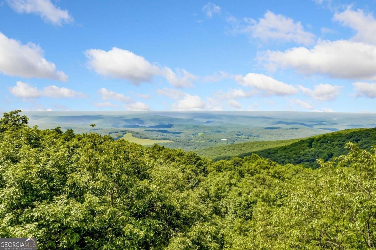 88 Bee Tree Ridge Court Jasper - 57