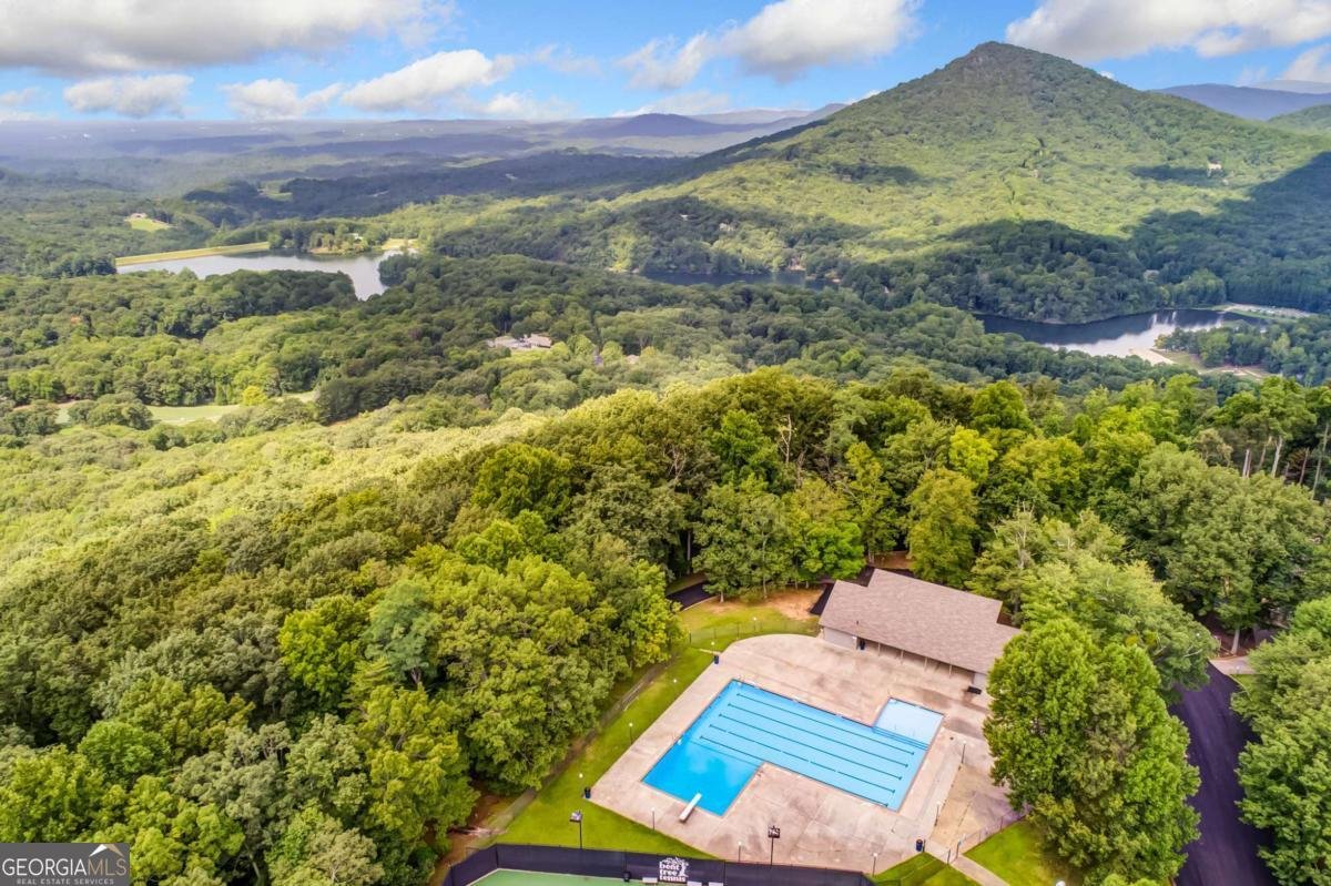 88 Bee Tree Ridge Court Jasper - 64