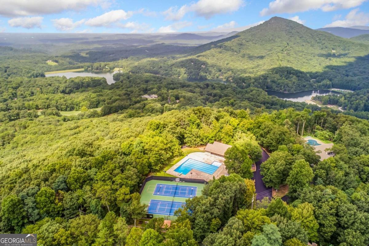 88 Bee Tree Ridge Court Jasper - 65