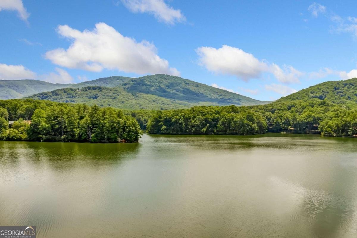 88 Bee Tree Ridge Court Jasper - 66