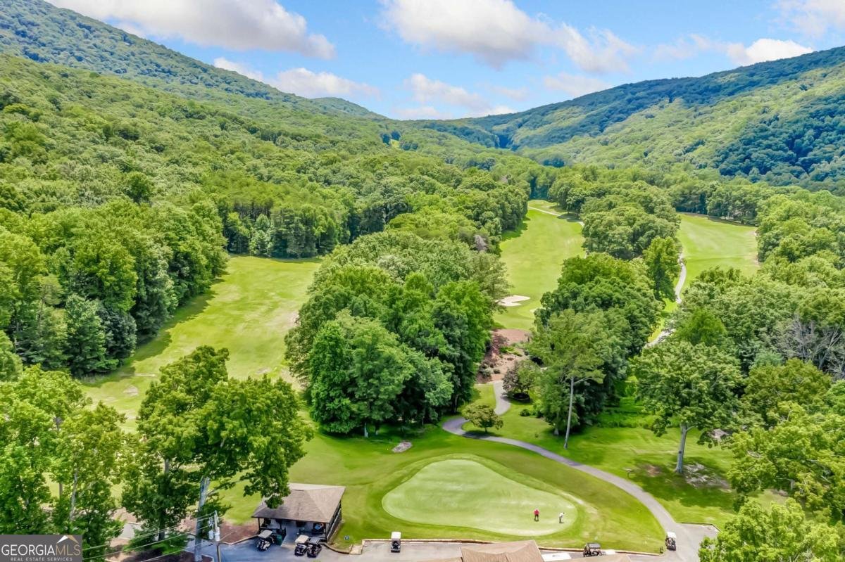 88 Bee Tree Ridge Court Jasper - 69