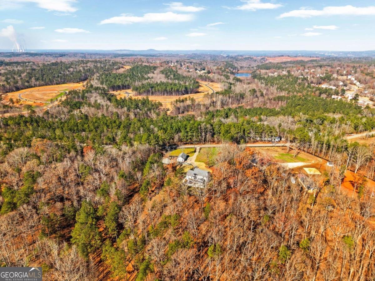 2830 Dabbs Bridge Road Dallas - 91