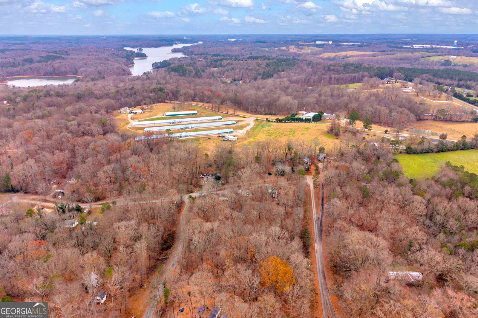 317 Ridgeview Drive Lavonia - 11