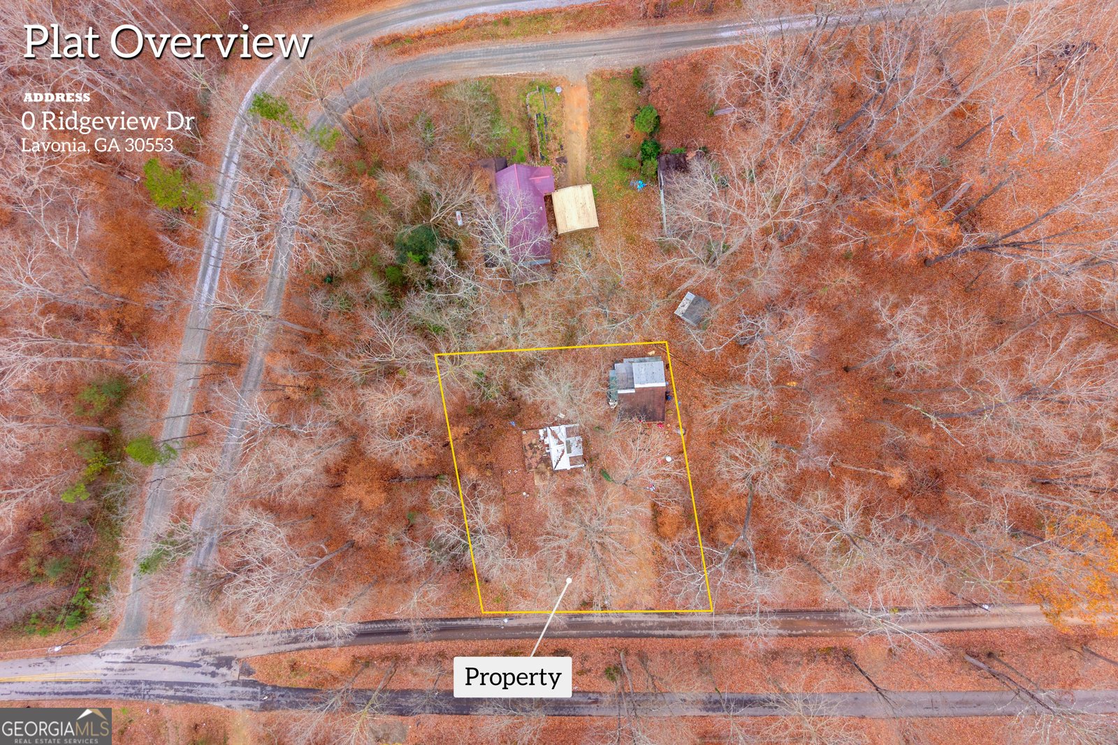 317 Ridgeview Drive Lavonia - 3