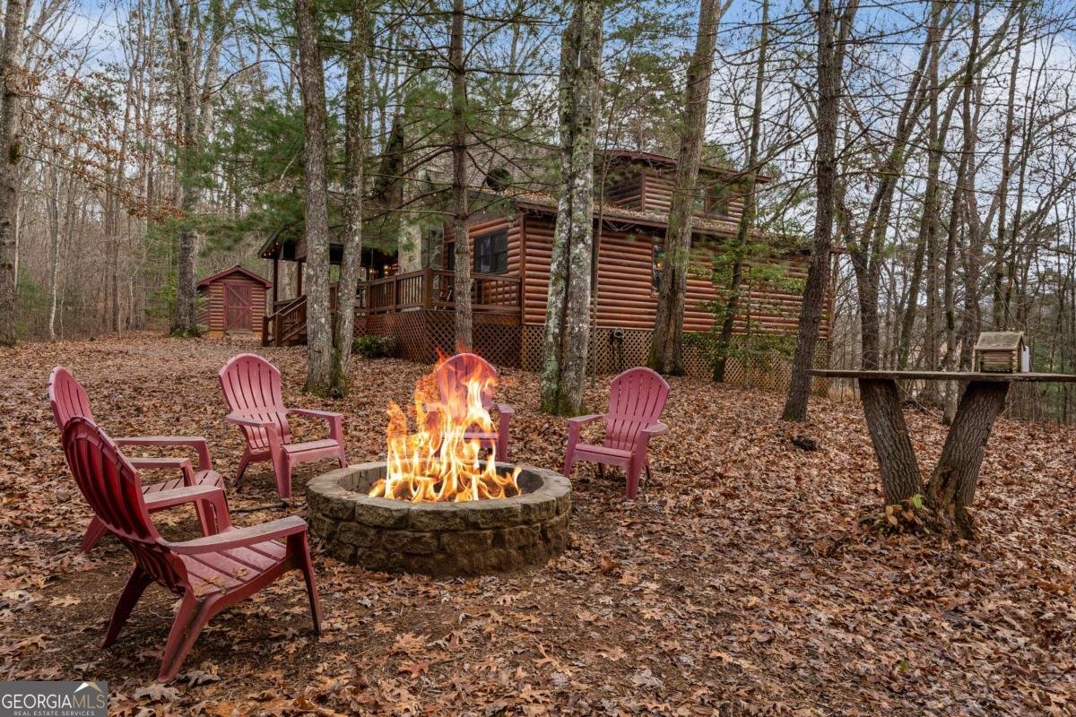 162 Little Falls Drive Mineral Bluff - 37