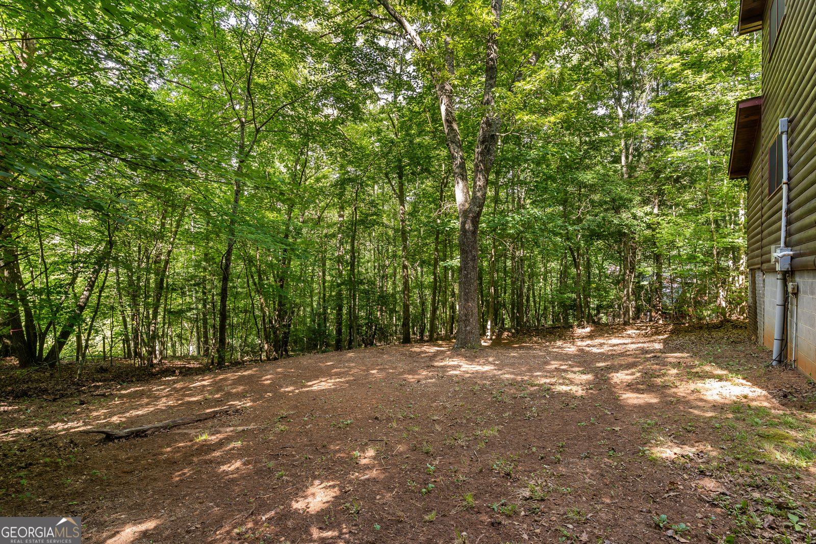 162 Little Falls Drive Mineral Bluff - Photo 44