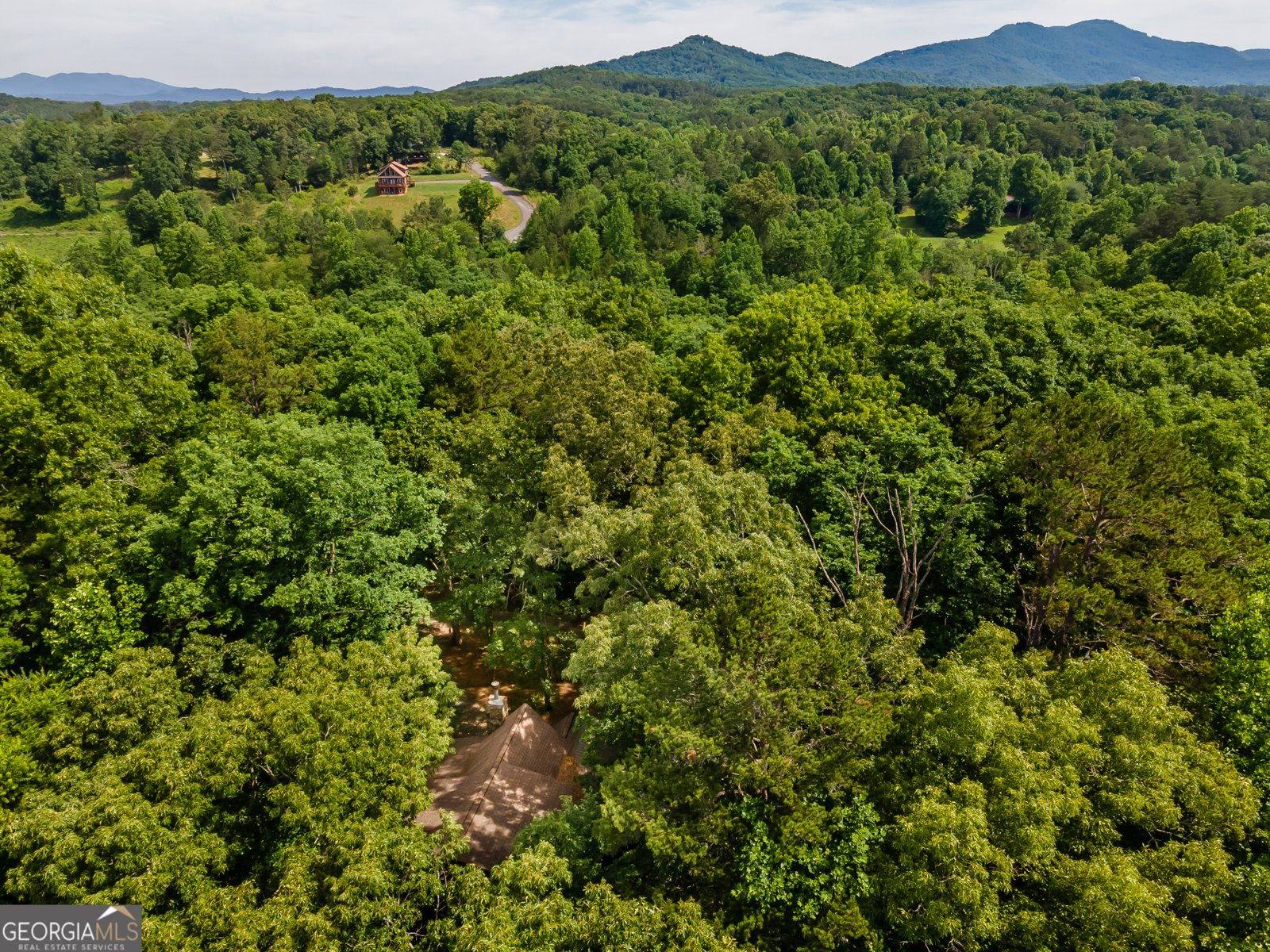 162 Little Falls Drive Mineral Bluff - Photo 45