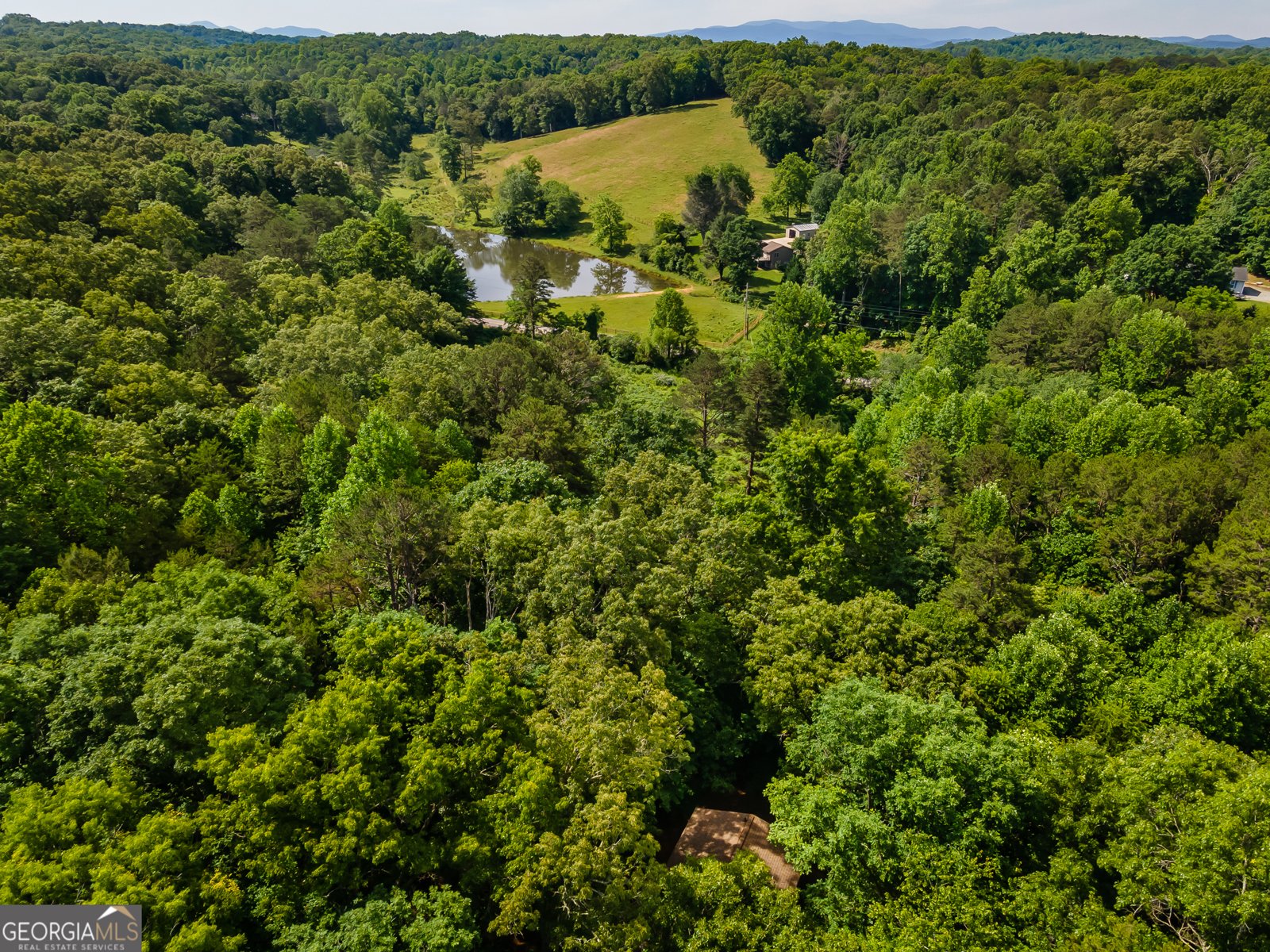 162 Little Falls Drive Mineral Bluff - Photo 46