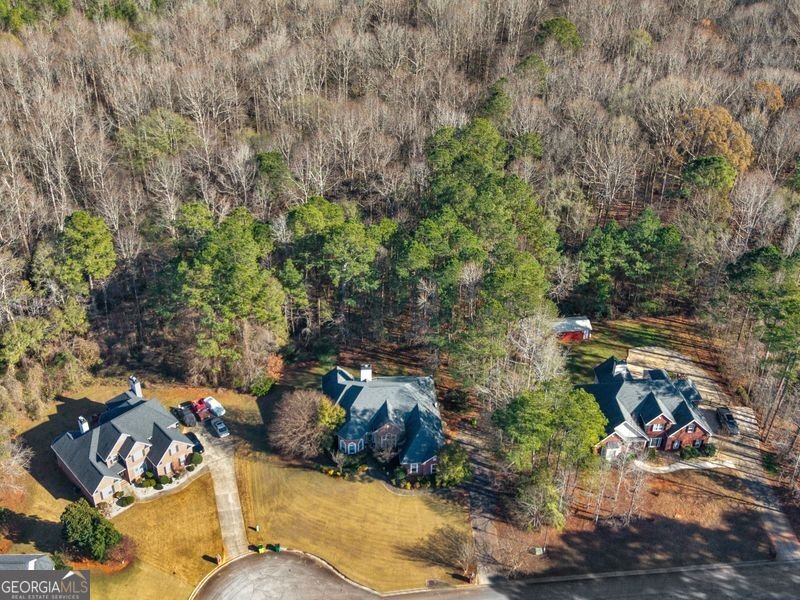 556 Guinevere Court McDonough - 38