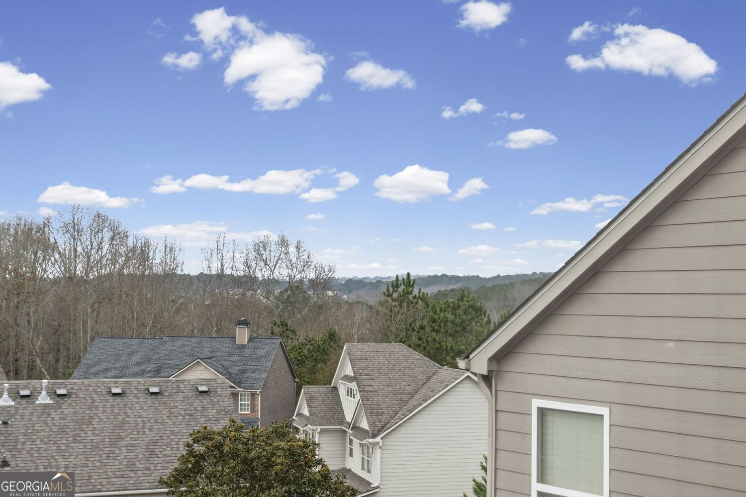 3915 Estates Path Cumming - 50