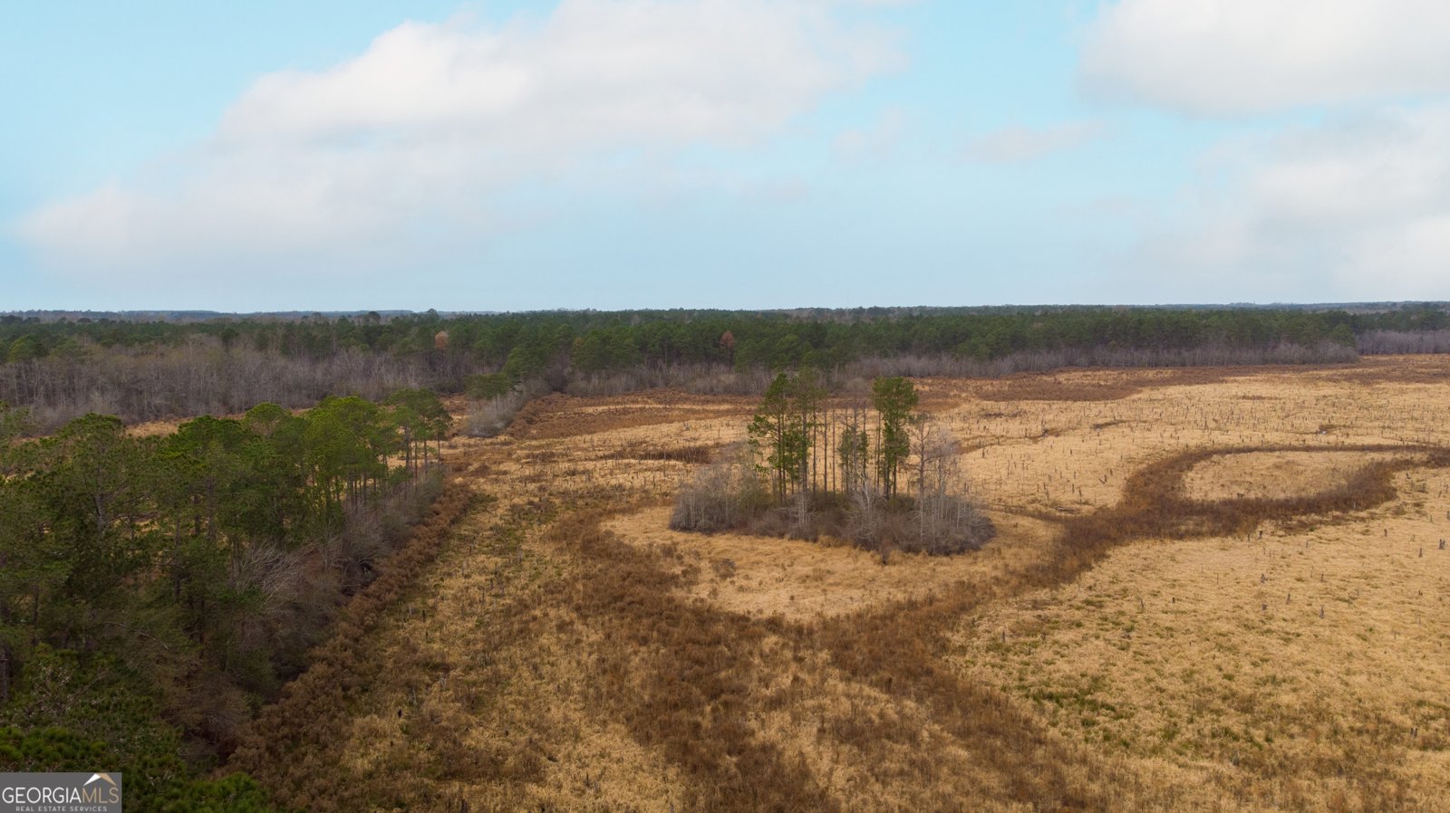 418 Oglesby Pond Lane Portal - 18