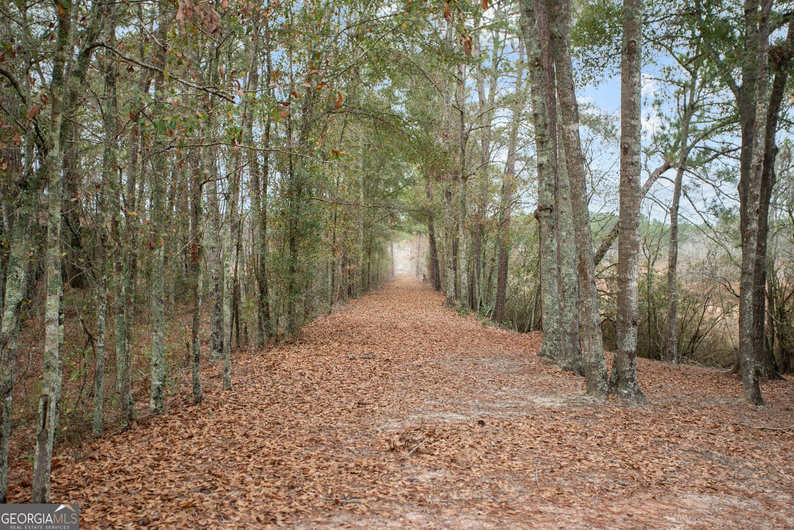 418 Oglesby Pond Lane Portal - 47