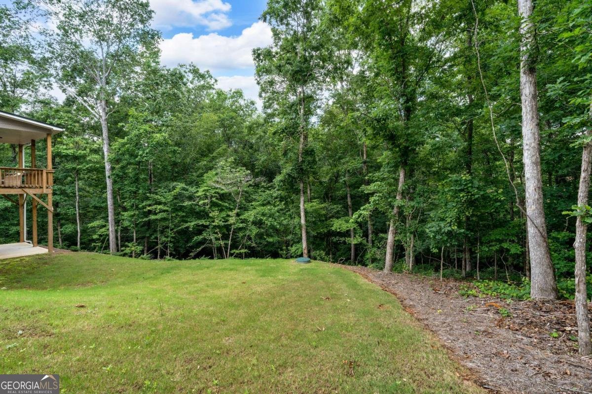 7580 Sunridge Lane Douglasville - 45