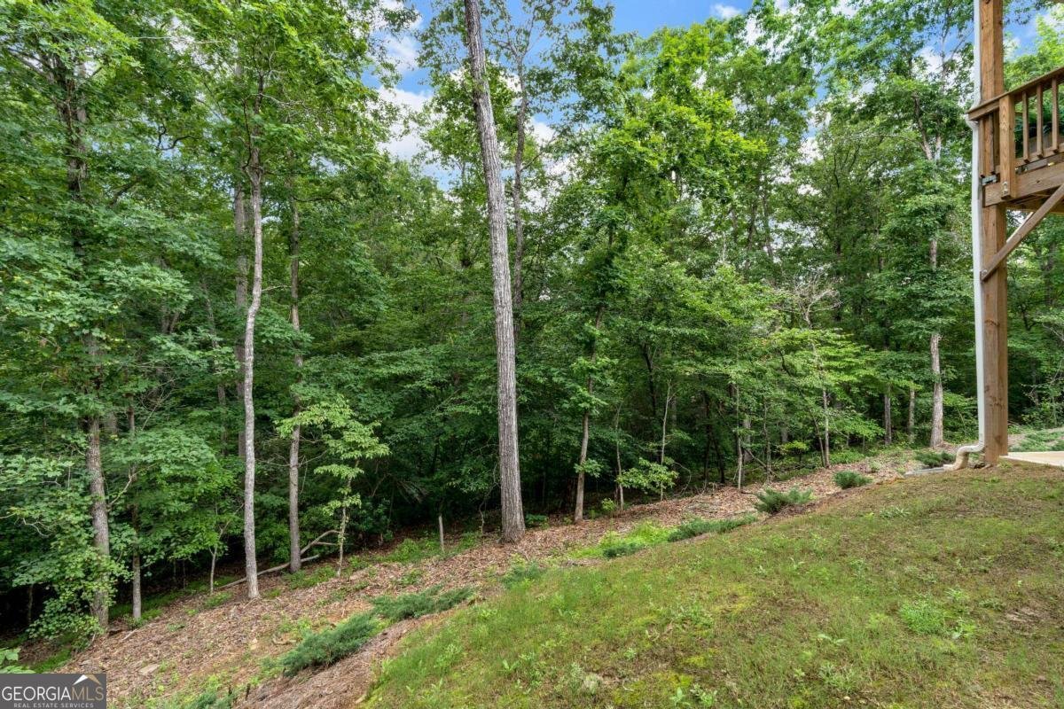 7580 Sunridge Lane Douglasville - 46