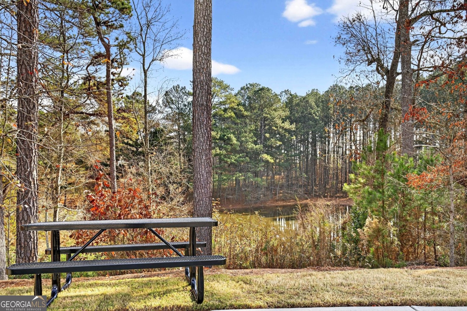 3980 Lochmar Trail Cumming - 43