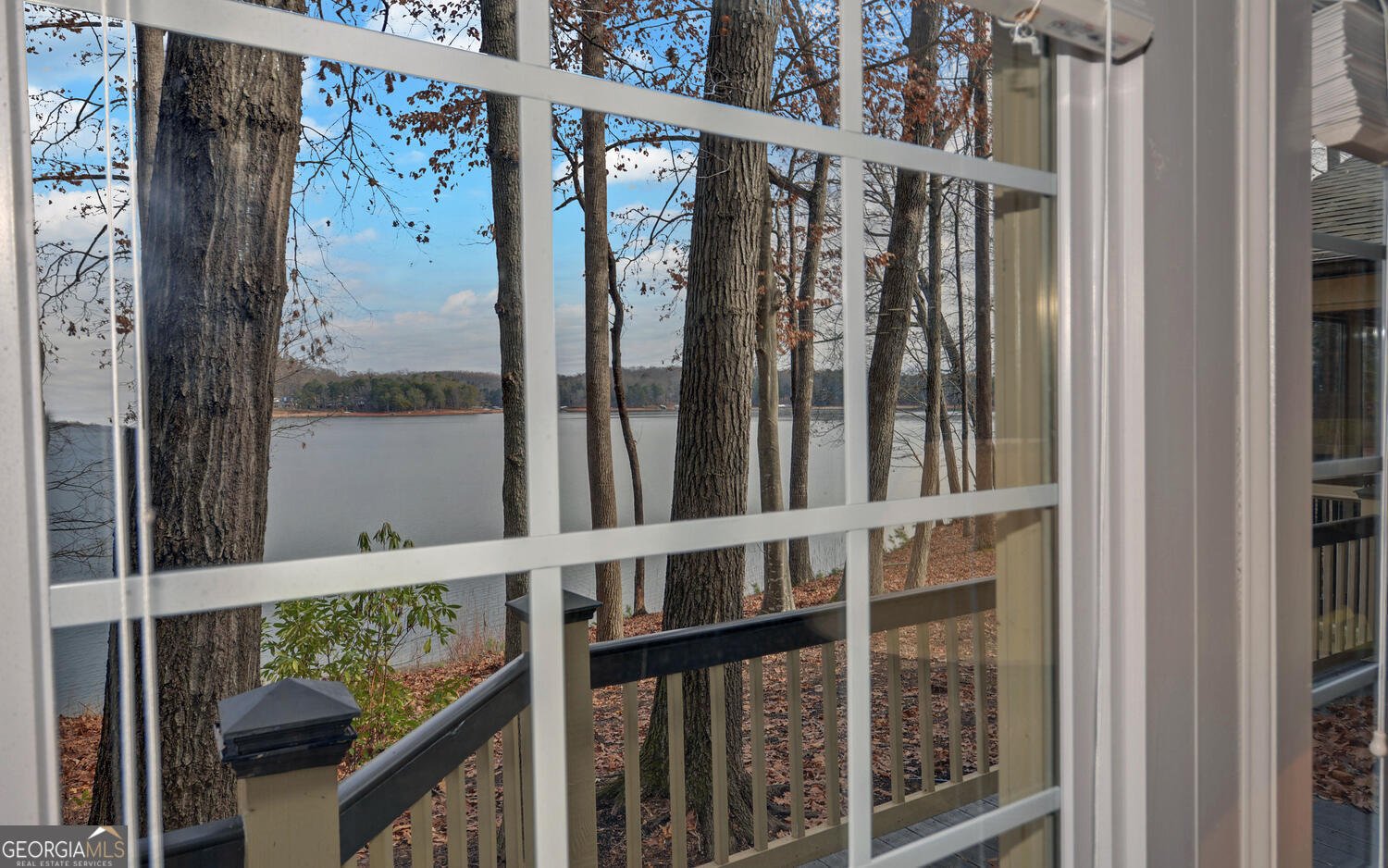 114 Blue Ridge Place Lavonia - 21