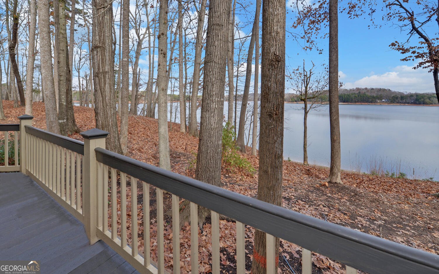 114 Blue Ridge Place Lavonia - 54