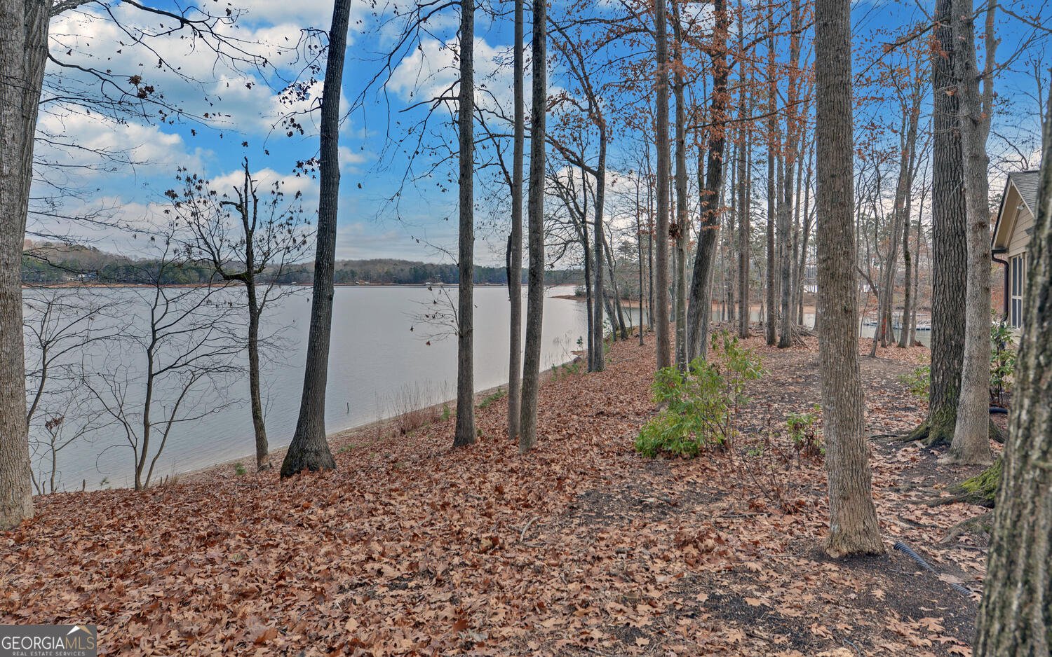 114 Blue Ridge Place Lavonia - 64