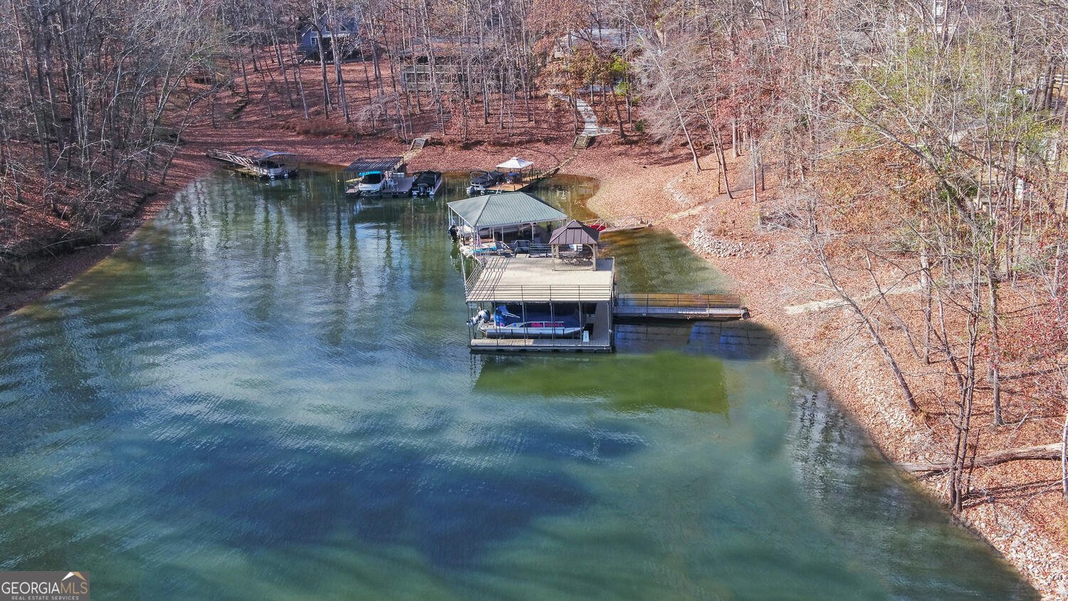 114 Blue Ridge Place Lavonia - 76