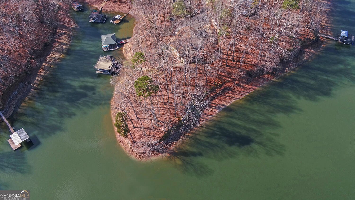 114 Blue Ridge Place Lavonia - 79