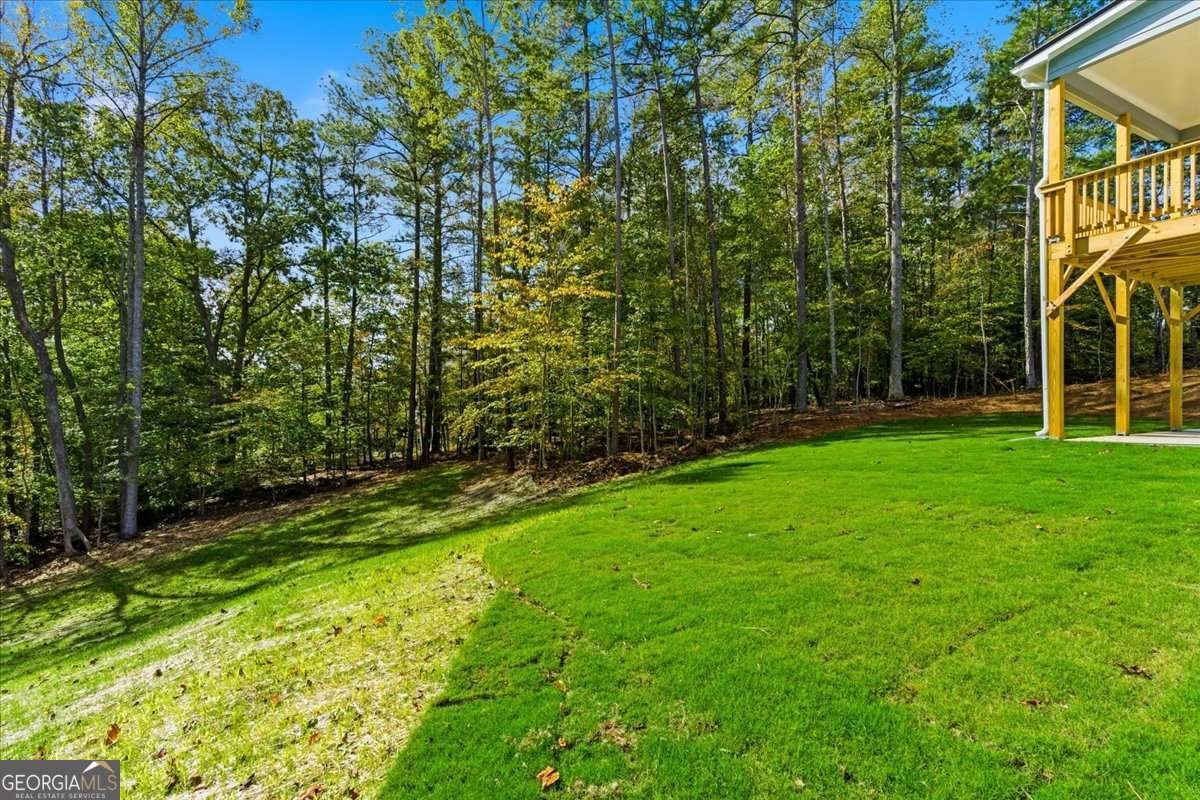 7791 Capps Ridge Lane Douglasville - 46