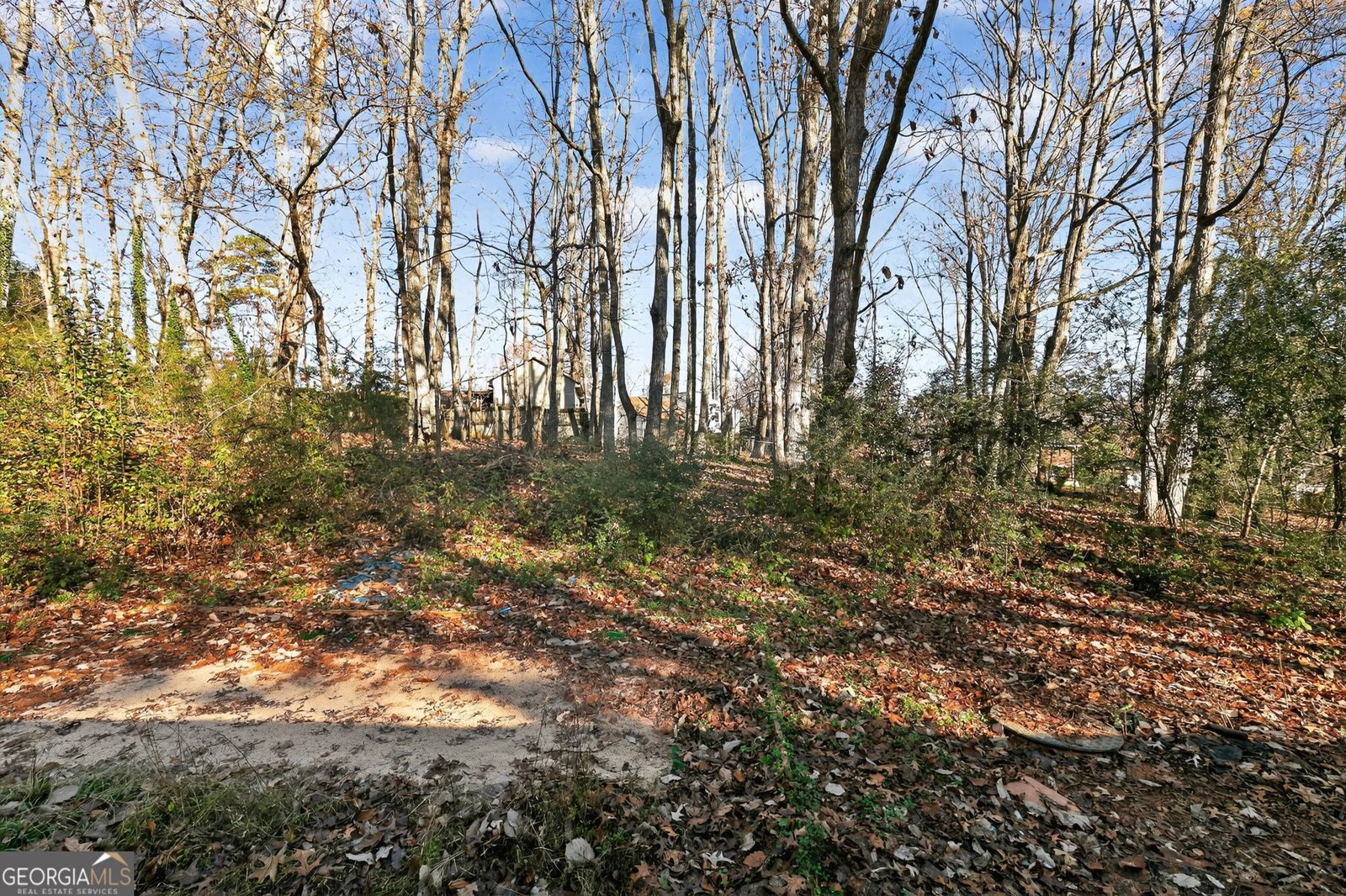 5804 Macedin Drive Douglasville - 26