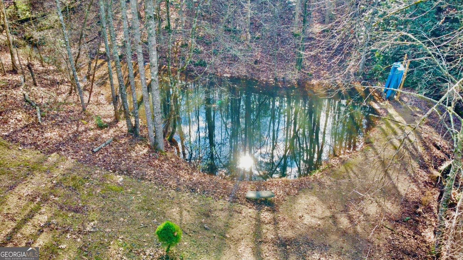 315 Greenhouse Road Mineral Bluff - 29