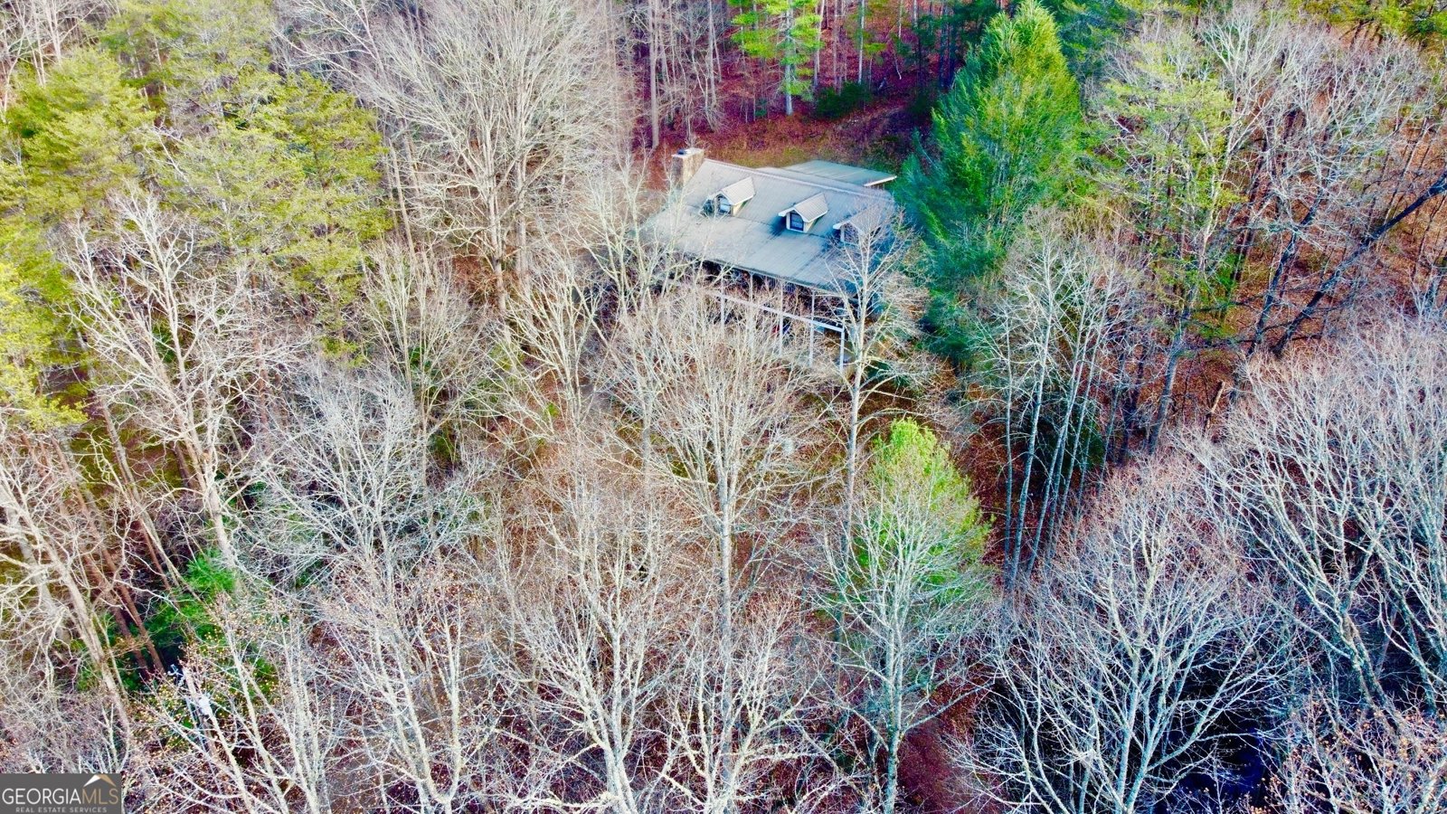 315 Greenhouse Road Mineral Bluff - 30