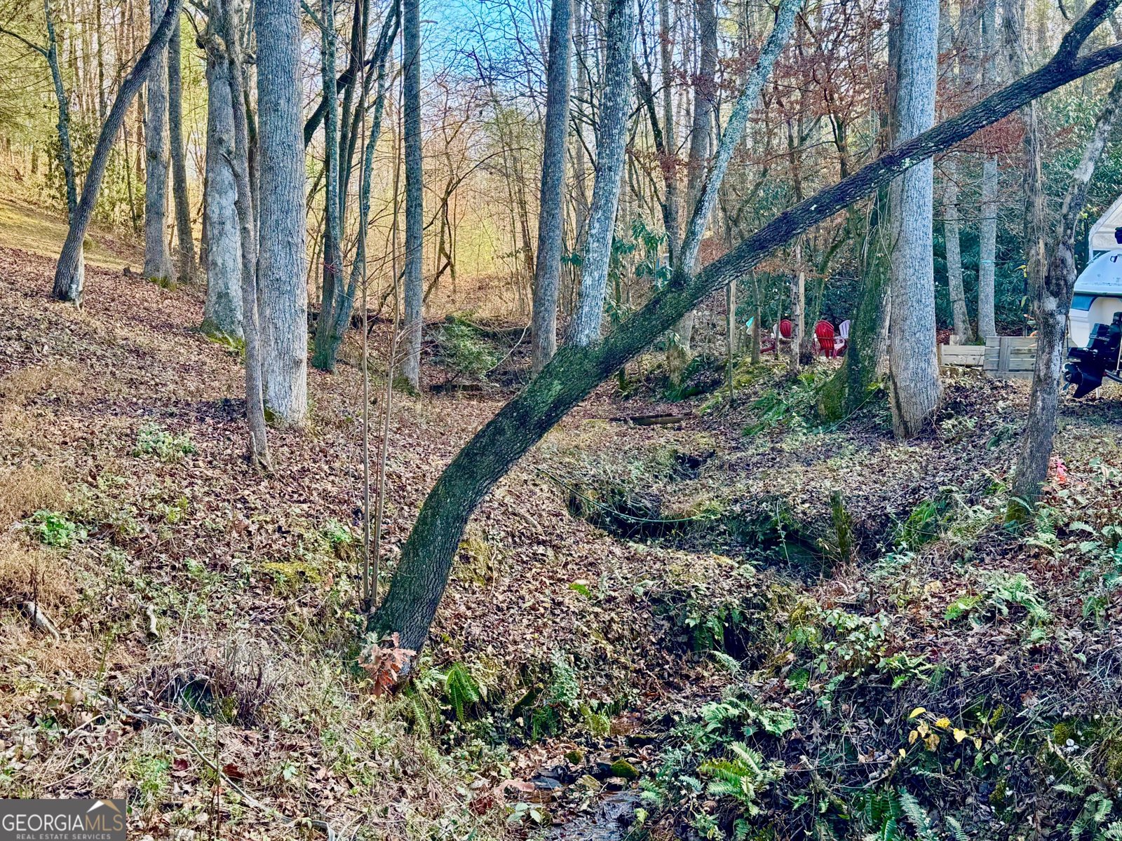 315 Greenhouse Road Mineral Bluff - 31