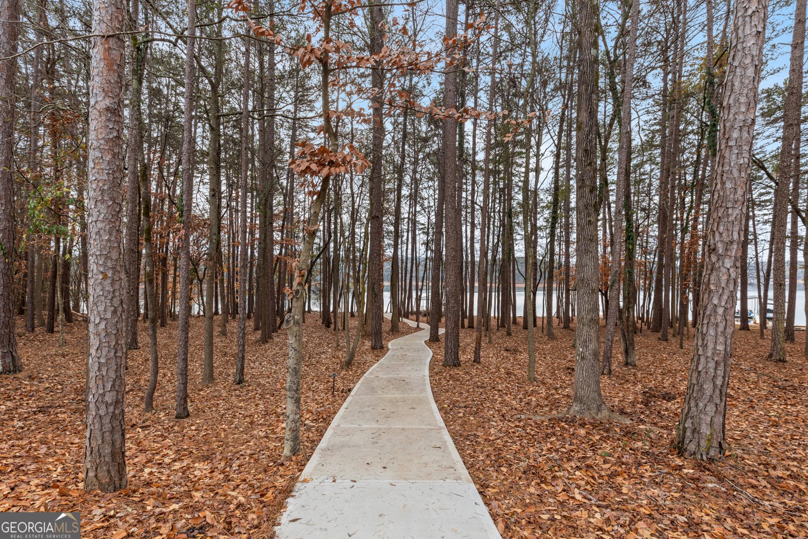 340 Foxy Lane Martin - 17