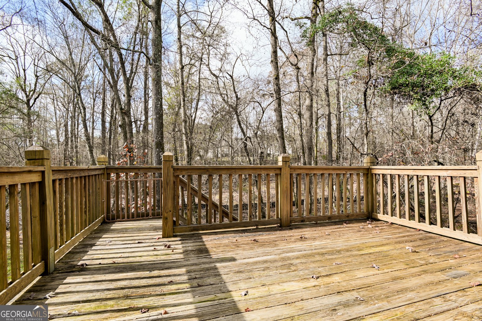 116 Laurel Springs Drive Athens - 24