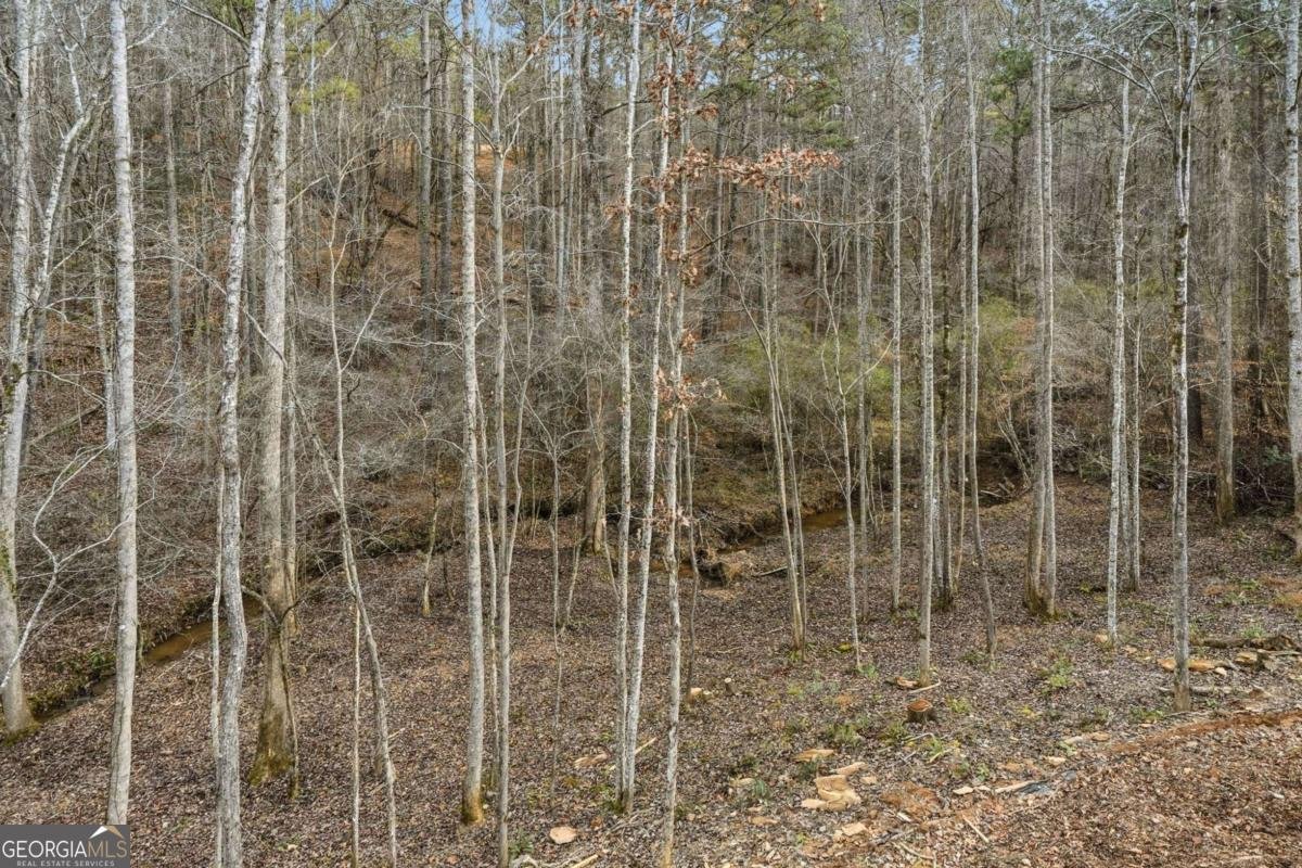 677 Catawba Circle Ellijay - 22