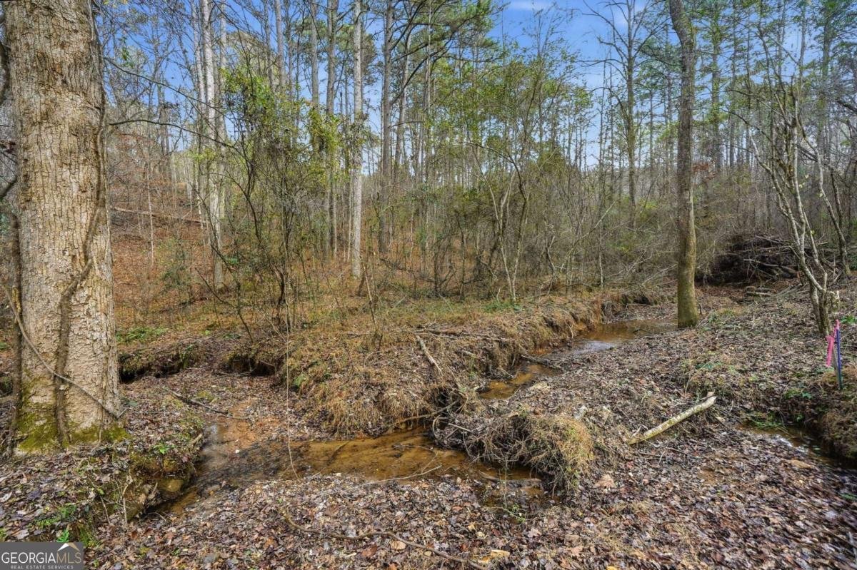 677 Catawba Circle Ellijay - 23