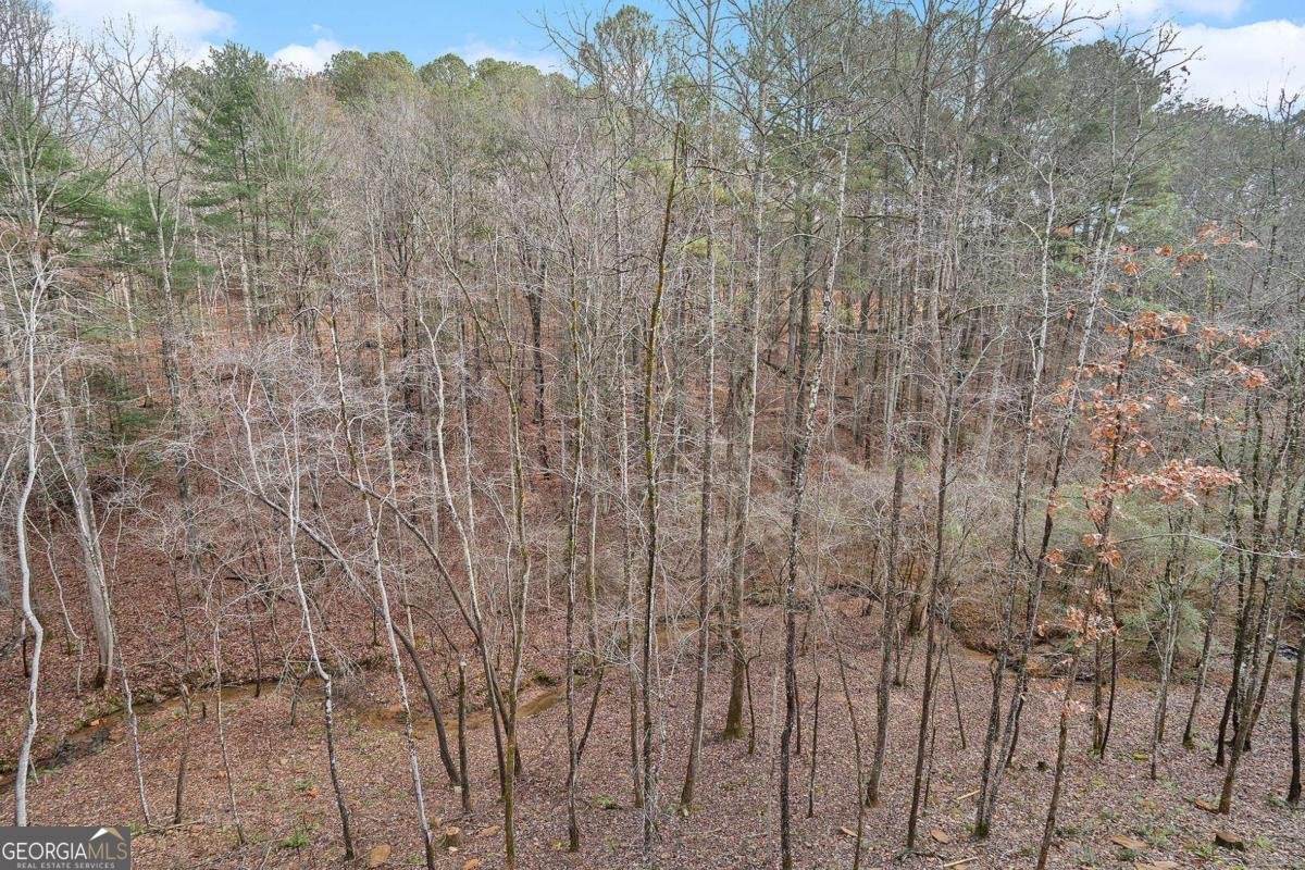 677 Catawba Circle Ellijay - 36