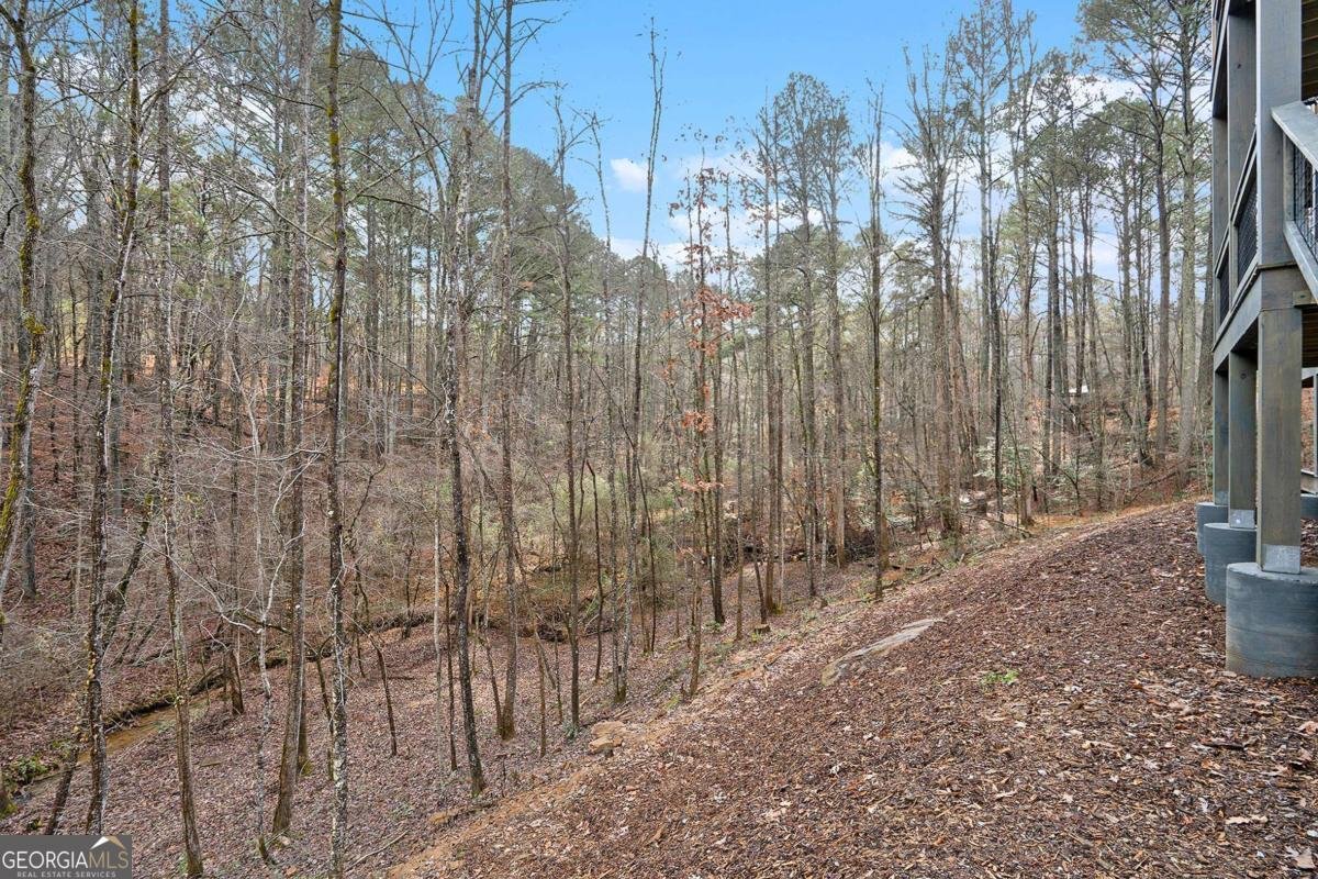 677 Catawba Circle Ellijay - 61