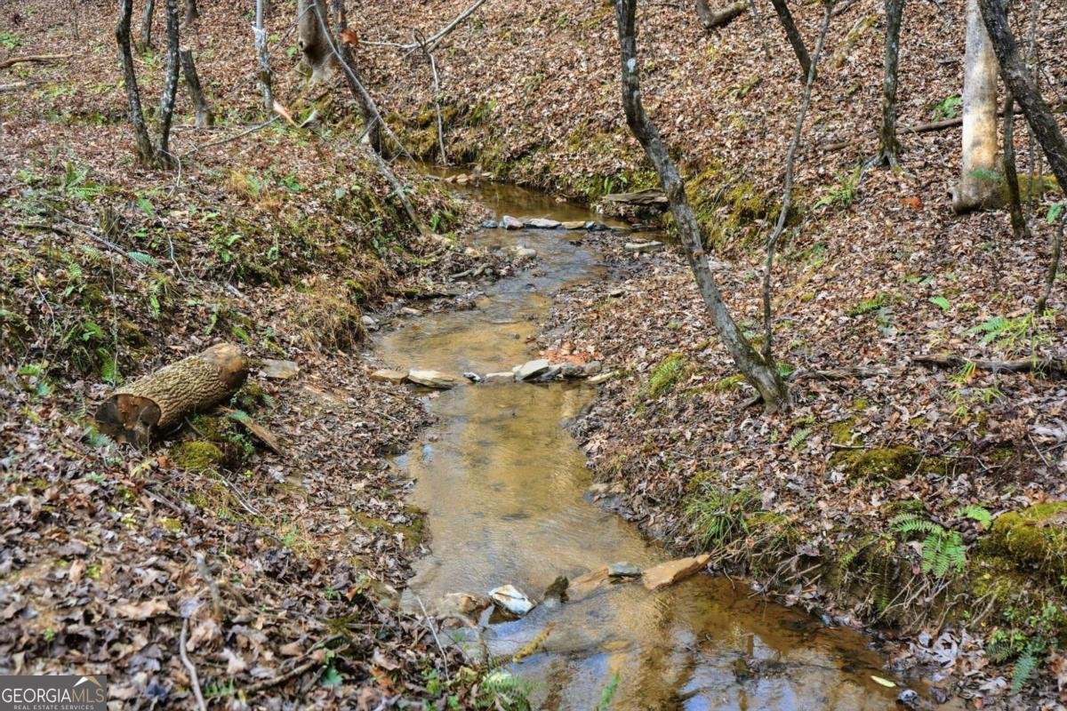 677 Catawba Circle Ellijay - 67