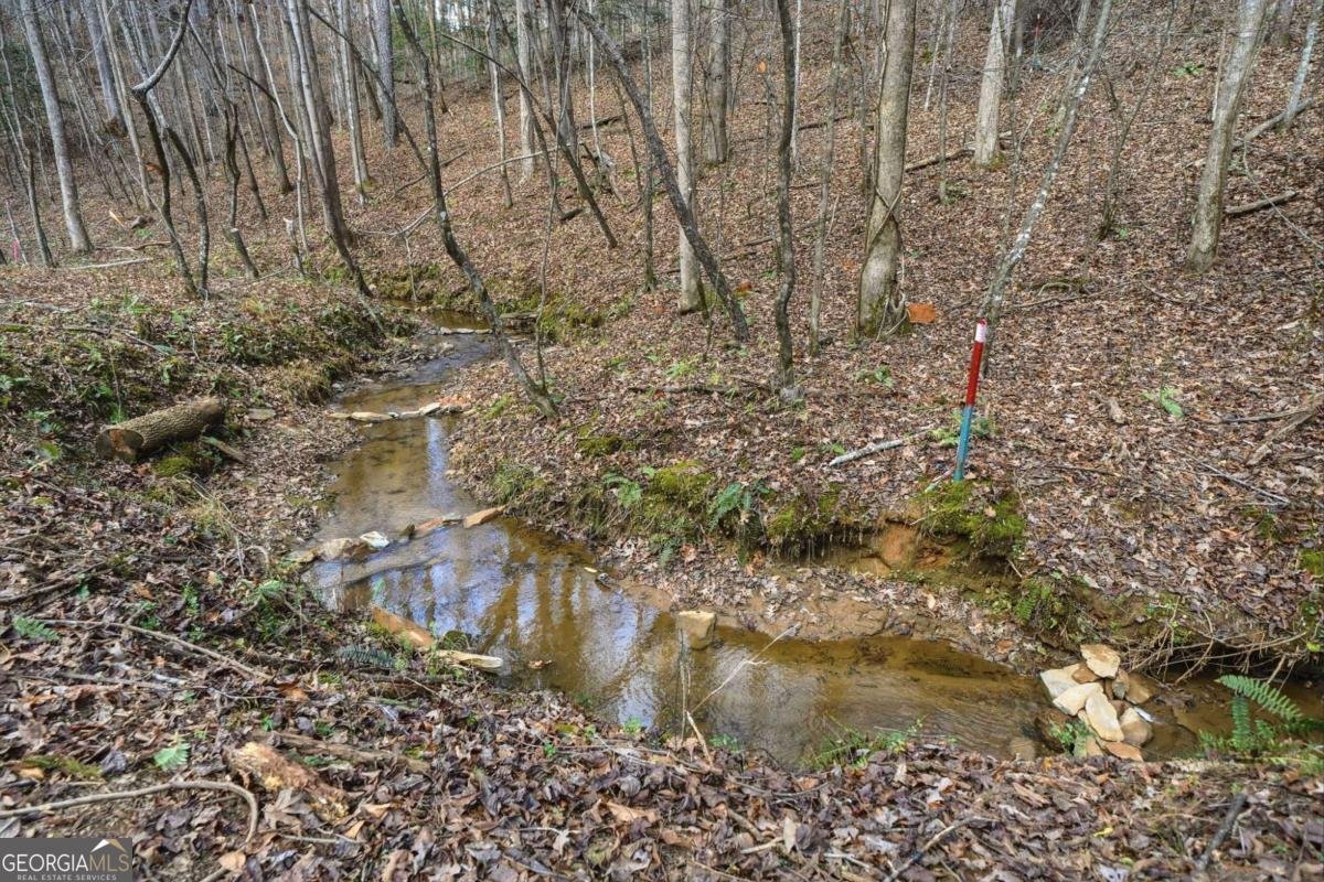 677 Catawba Circle Ellijay - 68