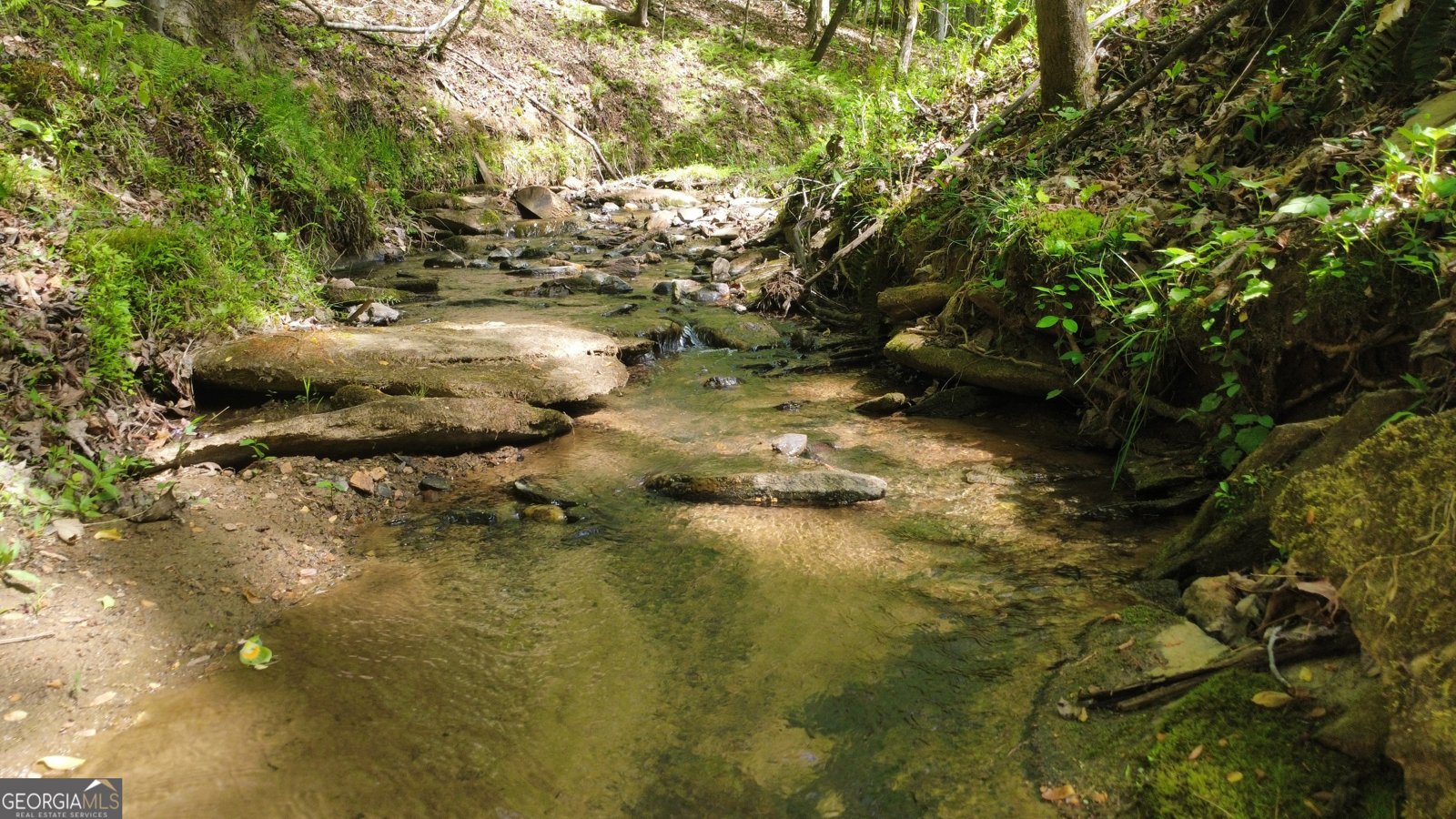 677 Catawba Circle Ellijay - Photo 79