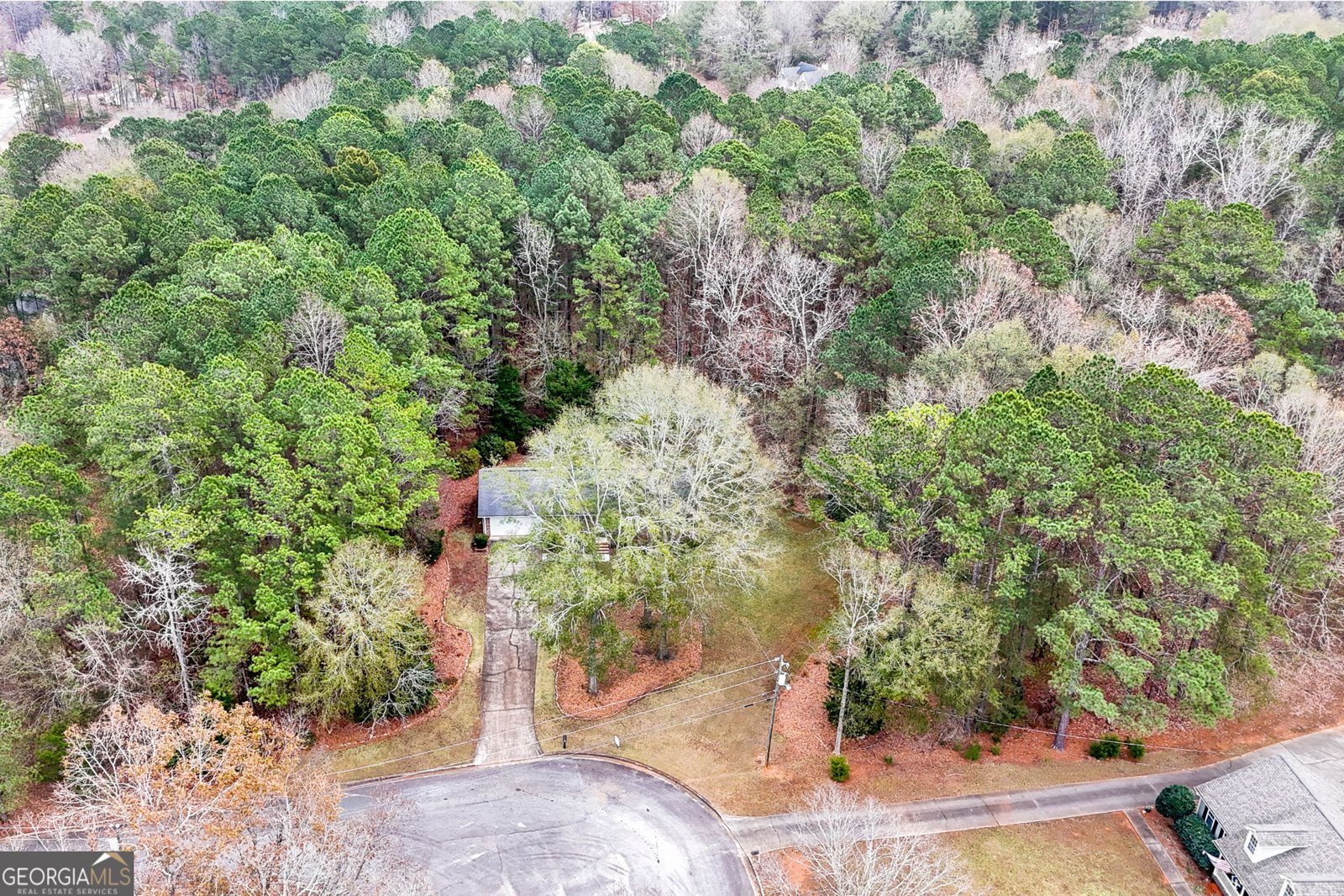 207 Michele Court McDonough - 29