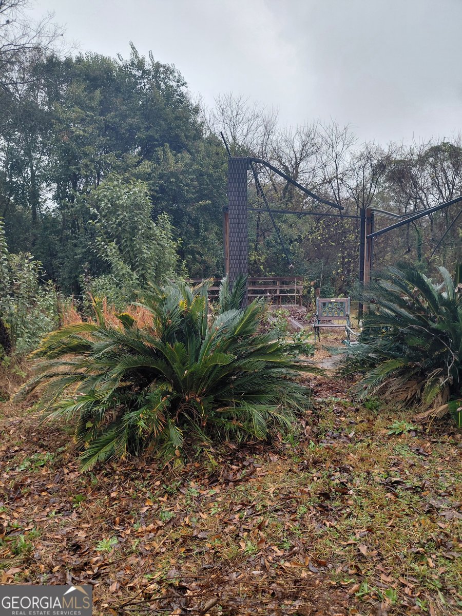 1925 Napier Avenue Macon - 6