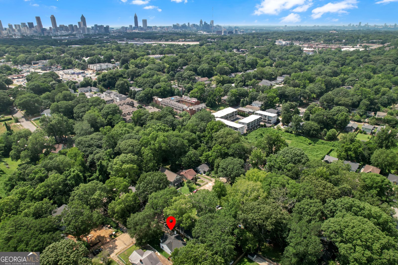 264 Haas Avenue Atlanta - 29