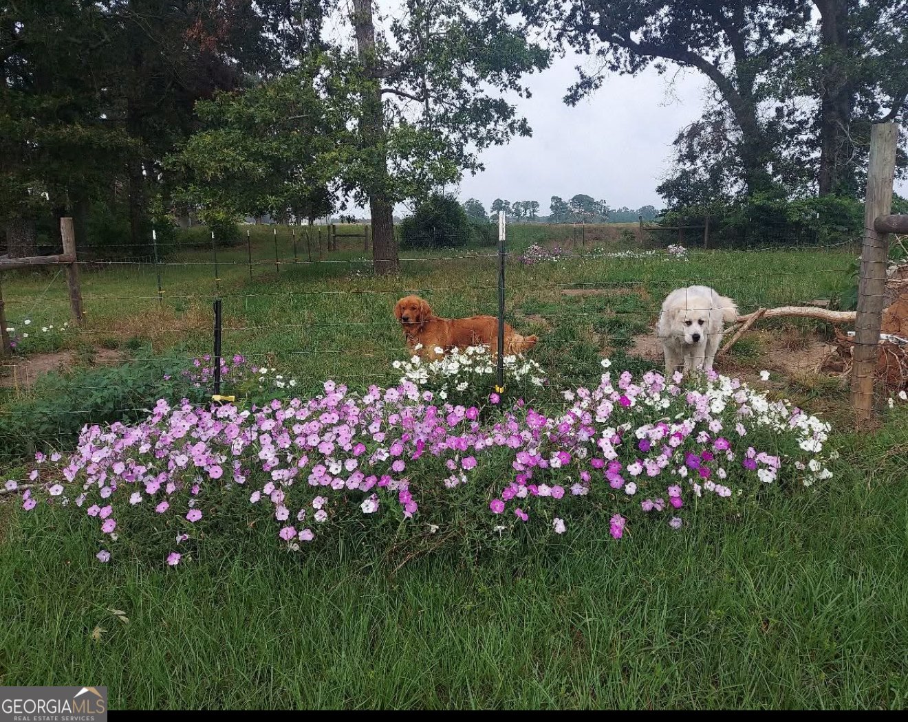 9447 Clarks Mill Road Avera - 21